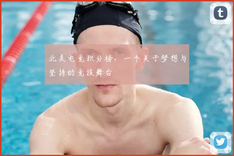 北美电竞积分榜,一个关于梦想与坚持的竞技舞台